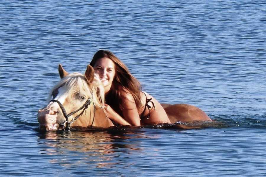 Quad bike and beach horse riding tour in Hurghada