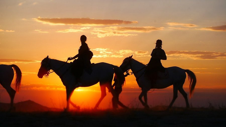 Horse riding experience in Hurghada